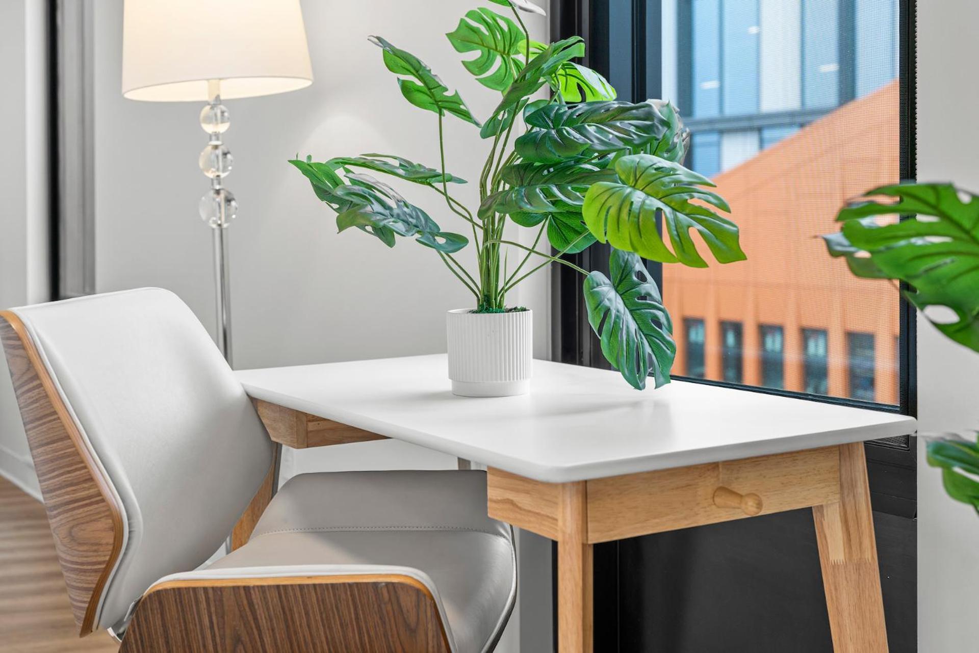 Furnished Luxury Apartment Next To Harvard Stadium ボストン エクステリア 写真